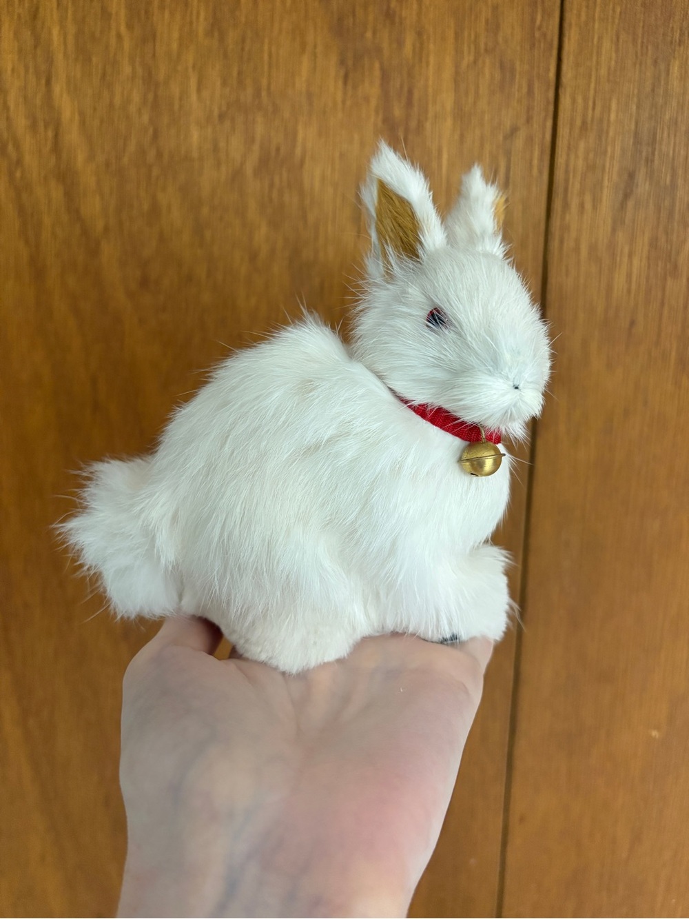 Realistic Rabbit Model Using Real Fur